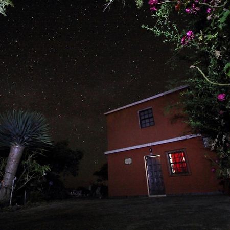 Bodega Goyo Lägenhet Puntallana Exteriör bild